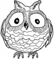 71b00f0283cde3e1f17a1cf41bbe972b--owl-pictures-owl-drawings.jpg